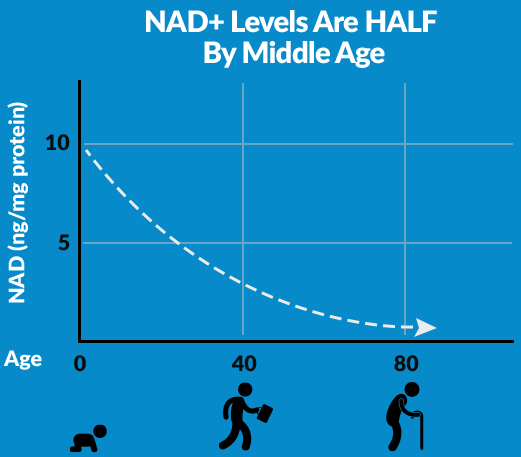 nad level dropped by age
